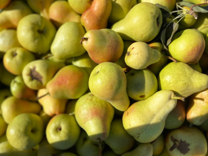 R.JELINEK Probier-Set – Drei feinste Obstbrände im Mini-Format