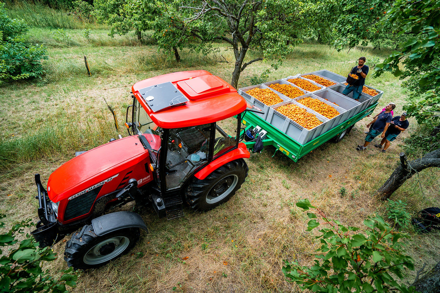 R.JELINEK Probier-Set – Drei feinste Obstbrände im Mini-Format